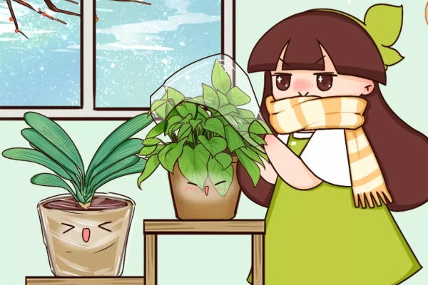 43880139.jpg 5ff1cd4fa20dd.jpg